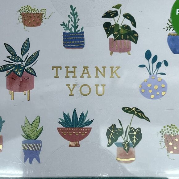 Clementine Potted Plants Thank You Cards Set of 16 Cards & Envelopes Recycled - Picture 3 of 12
